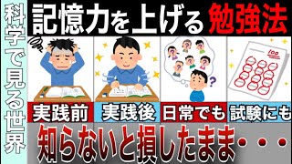 【論文要約】記憶力を10倍にする勉強法５選！記憶力を上げる論文や研究の結果を簡単解説 [upl. by Patterson]