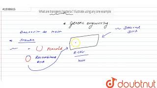 What are transgenic bacteria  Illustrate using any one example [upl. by Gapin95]