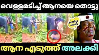 ആനയുടെ അടുത്ത് പാപ്പൻ കളിക്കാൻ നോക്കിയതാ Funny elephant attack Malayalam Troll [upl. by Sirromed723]