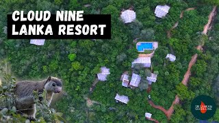 Cloud Nine Lanka Resort  Get Closer to Wildlife in Wilpattu [upl. by Ydahs]