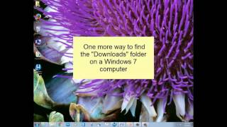 How to Find Your Downloads Folder on a Windows Computer [upl. by Hardej]