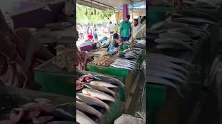 నాన్వేజ్ తిందాం అని మార్కెట్ కి వచ్చేసా 😀 fish market 🐟fishing fishmarket sea hunting [upl. by Igiul]