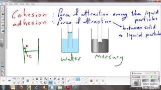 Adhesion Cohesion forces [upl. by Yeniar]