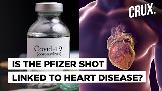 Is Side Effect of Pfizer COVID19 Vaccine Behind Rising Cases of Myocarditis in Israel [upl. by Shaya]