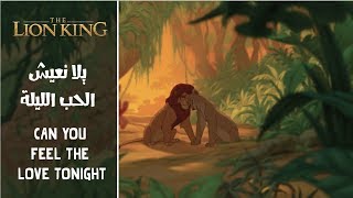 The Lion King  Can You Feel The Love Tonight Arabic  SubsampTrans [upl. by Aerdnek]