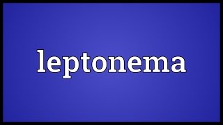 Leptonema Meaning [upl. by Nnaitsirhc598]