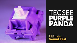 The Ultimate TECSEE PURPLE PANDA Sound Test  Cheap tactile switch [upl. by Engleman366]