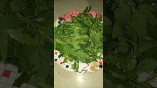 Sarkar tashrif lae Hain shortvideos food shortsfeed recipe [upl. by Seraphim460]