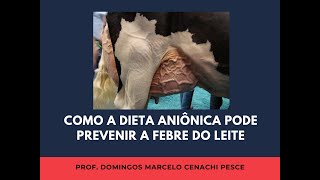 Como funciona a dieta aniônica na prevenção da quotfebre do leitequot [upl. by Mauretta]