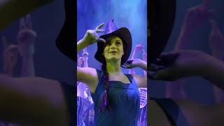 WICKED 20 Years on Broadway  WICKED the Musical [upl. by Mahan]