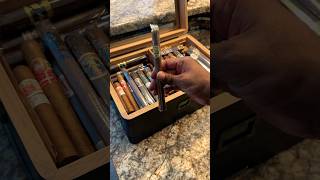 ☀️ Savoring a delicious churchill cigar on a gorgeous Saturday ☀️ cigar asmr shorts cigars art [upl. by Porta]