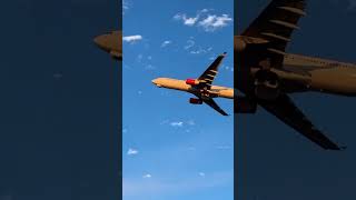 SAS A330 Rocket Takeoff from EWR shorts [upl. by Anilemrac]