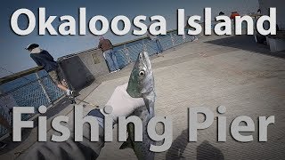 Okaloosa island pier fishing [upl. by Musa740]