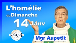 Évangile et homélie du Dimanche 14 Janvier  Avec Mgr Aupetit [upl. by Favianus]