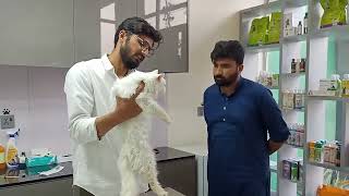 Best Veterinary Clinic in Lahore  A Visit To Fahad Pets Clinic DHA Lahore [upl. by Yrailih597]