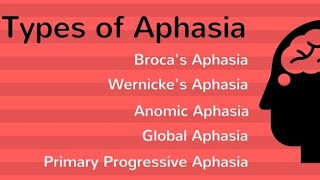 Types of Aphasia MAPC ugcnet [upl. by Cyd939]