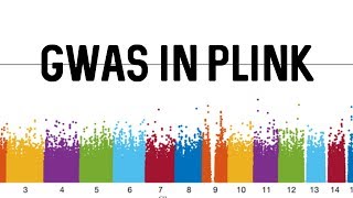 GWAS in Plink [upl. by Tomasine]