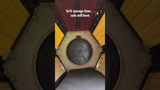 Aivituvin Heated Cat House gives stray cats a safe warm refuge in any weathercatshelter feralcat [upl. by Notfilc]