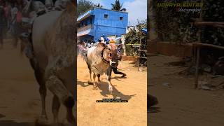 🔥Nelurupettai Ammu editing velloreeruthukattu erudhukattu erudhukattu [upl. by Naniac]