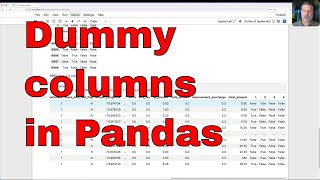 Working with dummies in Pandas [upl. by Puiia]