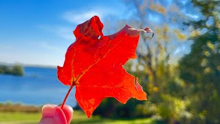 Okoboji Broadcast 1006 Fall colors stealing the show Okoboji Tourism [upl. by Harelda]