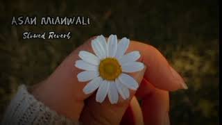 Asan Mianwali jawna aySlowed ReverbSariki SongUseed Ahmad [upl. by Aihsenor]