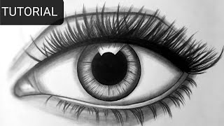 How To Draw a Realistic Eye  Step By Step Tutorial [upl. by Cilla]