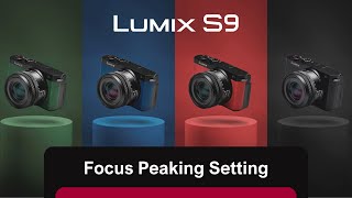 How to enable and configure Focus Peaking on LUMIX S9 [upl. by Gwendolin867]