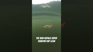 The NEW Rapala Super Shadow Rap Glide in Action 🔥 rapala new fishing pike [upl. by Adnilram]