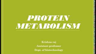 PROTEIN METABOLISM MALAYALAM [upl. by Bierman]