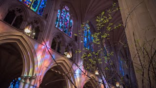 31724 Washington National Cathedral Sunday Holy Eucharist – Worship Online [upl. by Art]