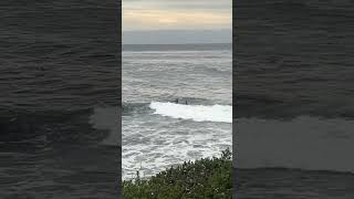 Surfing 38th Ave NorCal Santa Cruz California socal [upl. by Ecirtael]