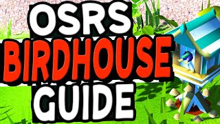 The Ultimate Birdhouse Guide Old School Runescape [upl. by Dowzall]