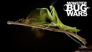 When Mantises Attack 2  MONSTER BUG WARS [upl. by Taveda831]