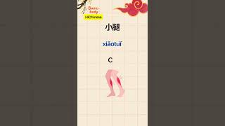 Learning Chinese Body Parts  Fun Flash Cards [upl. by Legnaros658]