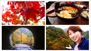 Autumn in Japan What its like and whats so great about it [upl. by Walther]