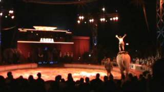 rene casselly´s elefant act 2011 [upl. by Gaultiero396]