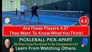 Pickleball Skill Rating Do You Think These Players Are 40 Level Players They Want Your Opinion [upl. by Primavera417]