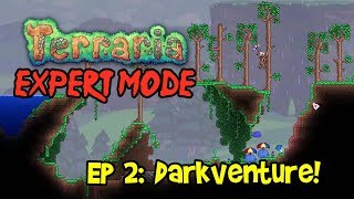 DARKVENTURE Terraria EXPERT MODE Lets PlayPlaythrough Ep 2 13 PC Gameplay 2018 [upl. by Schaefer]