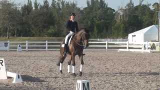 World Dressage Masters  Additional Warm Up Footage [upl. by Zzaj]