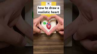 How to draw an actual Heart  howtodraw drawingtutorial heart humanheart [upl. by Field]