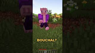 Kdo ZEMŘE  💀 PVNST VS BOUCHAL 😎🐷 minecraft comedy [upl. by Consalve]