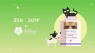 Laïka en Brico  Zen Supp™  Speciaal verhuizen [upl. by Sugar]