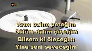 Arım Balım Peteğim  KARAOKE  TSM [upl. by Ojyram724]