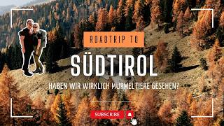 Wandern in Südtirol – Murmeltiere fast hautnah erleben 🏞️🐿️ 008 [upl. by Cia]