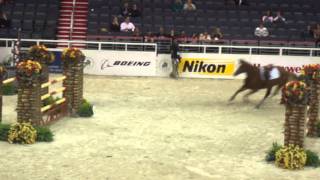 Chaos at the Washington International Horse Show [upl. by Tannenbaum889]