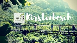 Things to do in South Africa Kirstenbosch National Botanical Garden [upl. by Sej]