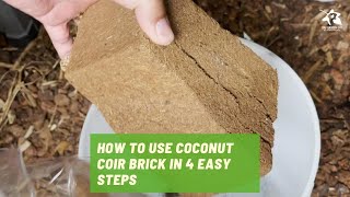 How to use coconut coir brick in 4 easy steps [upl. by Mirisola]