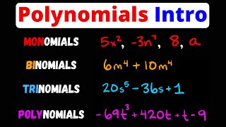 Intro to Monomials Binomials Trinomials Polynomials amp Terms  Eat Pi [upl. by Atteuqahc]