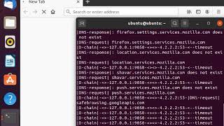 Installing Proxychains on Ubuntu Live [upl. by Nary865]